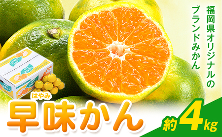 みかん 早味かん 約4kg 南国フルーツ株式会社【26年度出荷】《9月中旬-9月下旬頃出荷》福岡県 小竹町 福岡県産 みかん 早味かん フルーツ 果物