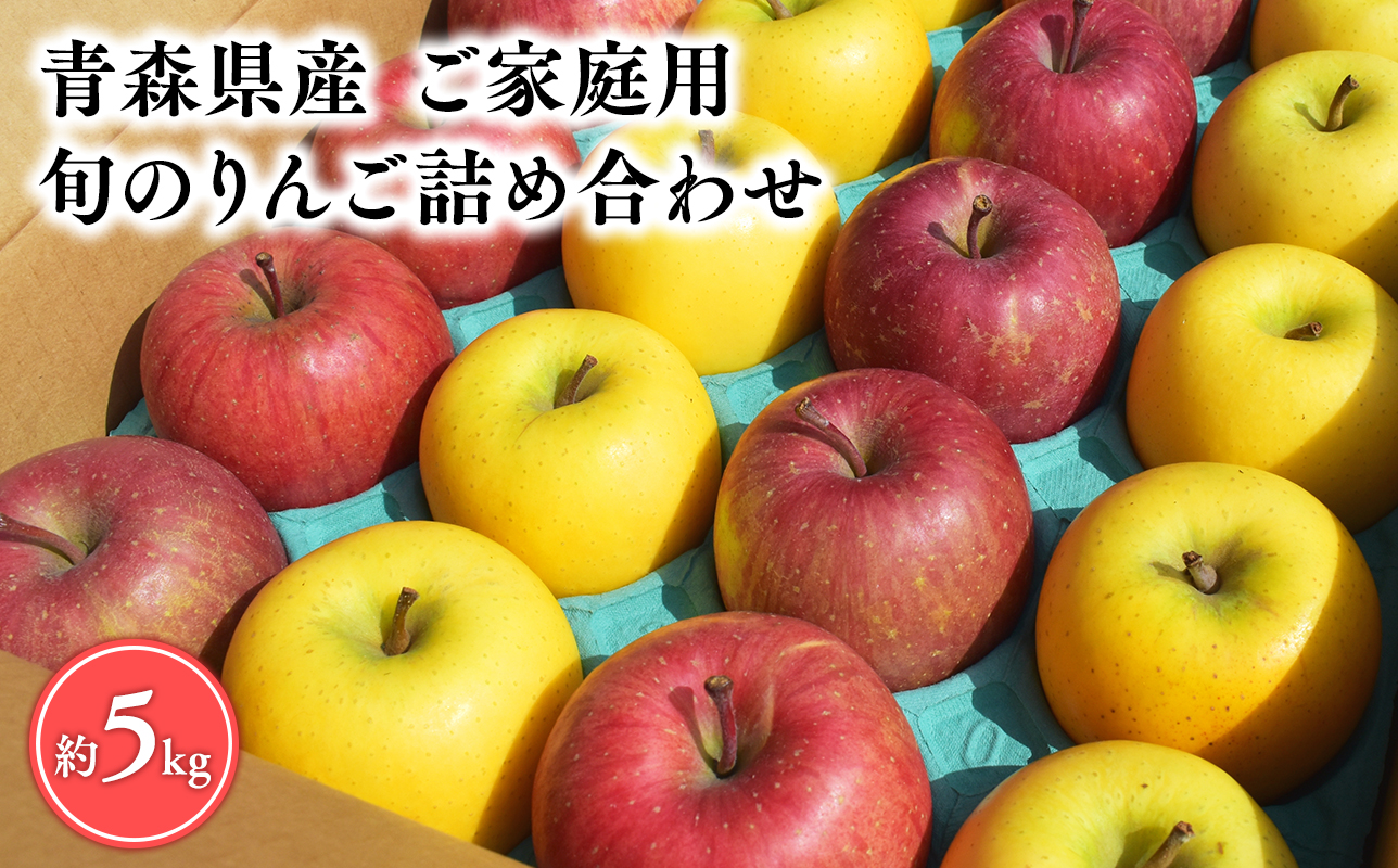 11月発送 【訳あり】旬のりんご詰め合わせ5㎏【りんご・青森・平川・訳あり・家庭用・宮川商店・11月・12月・1月・2月・3月・4月】