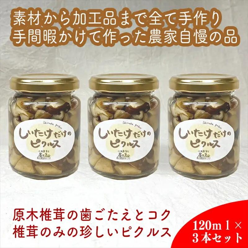しいたけだけのピクルス 3個セット【 家庭用 自宅用 贈答品 贈答用 ギフト お取り寄せ お中元 お歳暮 贈り物 お祝い 神奈川県 小田原市 ピクルス ピクルス】
