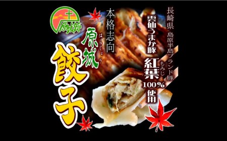 【雲仙もみじ豚使用】餃子 ３種 詰め合せ / プレーン カレー バジル 南島原市 / はなぶさ 国産豚 惣菜 野菜 豚肉 肉 豚 中華 セット [SCN067]