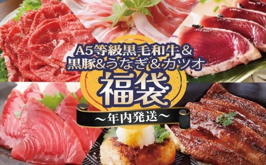 ＜年内発送＞福袋 A5ランク黒毛和牛・うなぎ・黒豚・カツオ 贅沢詰め合わせ B8-24【1580561】