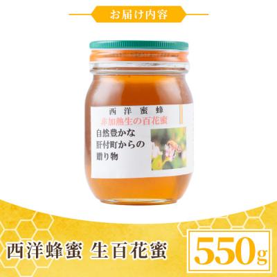 ふるさと納税 肝付町 国産 西洋蜂蜜 生百花蜜 550g　P51001 |  | 03