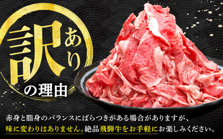 飛騨牛 切り落とし 700g 多治見市 / 養老ミート 冷凍 赤身 和牛 訳あり ギフト[THG001]