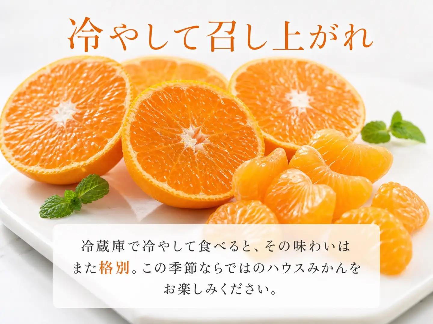 紀州和歌山有田産ハウスみかん 2.5kg 化粧箱入 ふるさと納税 ミカン ｜みかん ミカン 蜜柑 フルーツ みかん ふるーつ みかん 果物 みかん くだもの みかん 和歌山 みかん