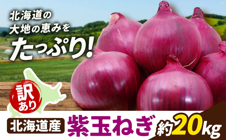 訳あり 野菜 紫玉ねぎ 20kg B&T TRADING株式会社《30日以内に出荷予定(土日祝除く)》北海道 日高町 玉ねぎ 紫玉ねぎ 赤玉ねぎ 北海道産 国産 野菜 大容量 家庭用 常備野菜 サラダ