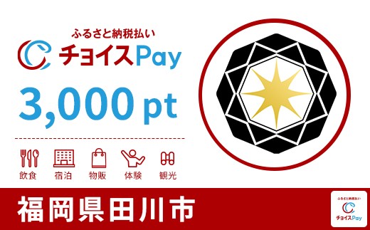 
            田川市チョイスPay 3,000pt【会員限定のお礼の品】
          