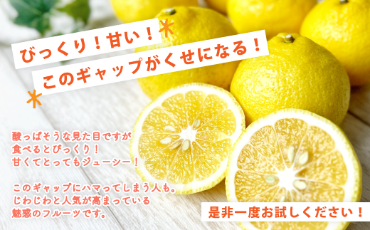 【 早期受付 期間限定 数量限定 】 はるか 7kg 家庭用 甘い 甘酸っぱい 人気 フルーツ 果物 くだもの 柑橘 みかん ミカン 高知県 高知 四万十市 四万十 しまんと 高知県産 お取り寄せ 【