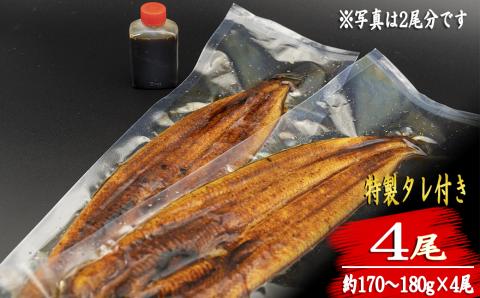 厳選!!高知県産うなぎ(4尾)