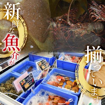 ふるさと納税 佐伯市 ＜定期便・全12回 (連続)＞魚介類定期便 (2-3人前×12ヶ月) |  | 02
