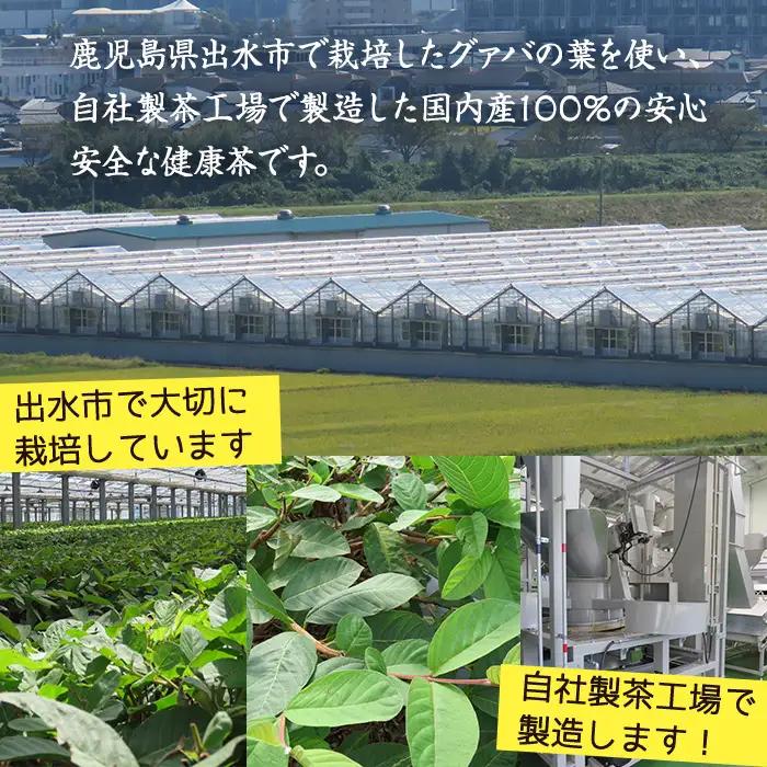 i1137-A グァバ茶PET(神秘也)200ml×40本 お茶 茶 国産 グァバ葉 ノンカフェイン ポリフェノール 血糖値 コレステロール ペットボトル 【出水酒造 izumi-syuzou】