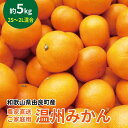 【ふるさと納税】農家直送 ご家庭用 和歌山県由良町産温州みかん 約5kg 2S～2Lサイズ混合 | みかん 蜜柑 フルーツ 果物 くだもの 食品 人気 おすすめ 送料無料