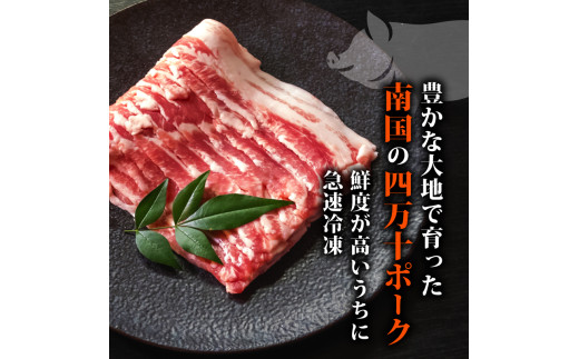 【四万十ブランド】 鶏肉 と 豚肉 の セット 計1.9kg ( 鶏もも肉 1kg と 豚肉 スライス 900g ) | 四万十ポーク スライス 四万十鶏 鶏モモ セット 豚肉 豚バラ肉 小分け 小間
