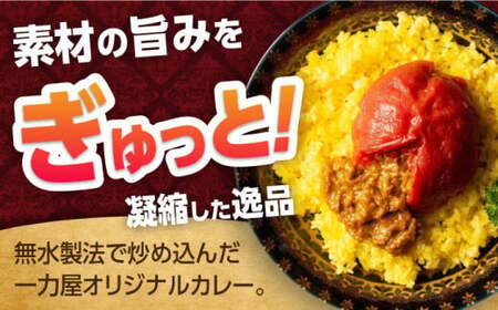＜buyer's room2023経済産業大臣賞を受賞＞丸ごとトマトのキーマカレー 4食 白川町 / 一力屋[AWAE001]