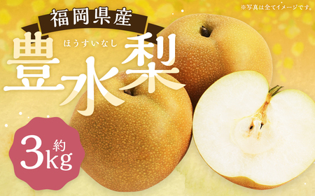  豊水梨 約3kg 5～8玉【2026年8月下旬から9月下旬発送予定】 ナシ 梨 果物 フルーツ 福岡県産