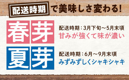 【先行予約】三次の恵みをおふくわけ 朝採れ 夏芽アスパラガス（約1kg）とれたて アスパラ 旬 野菜 三次市/福分アスパラ[APAU002]