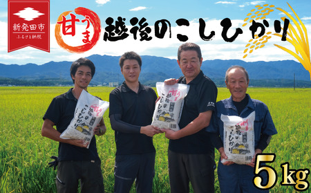 【新潟 コシヒカリ】5kg 令和7年産 甘うま越後のこしひかり コシヒカリ 白米 toushin004_02