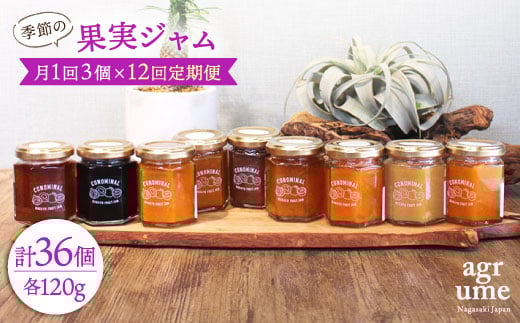 【全12回定期便】 季節の果実ジャム 毎月3本（120g/本） 長与町/アグリューム [EAI009] 瓶 個別 セット ジャム