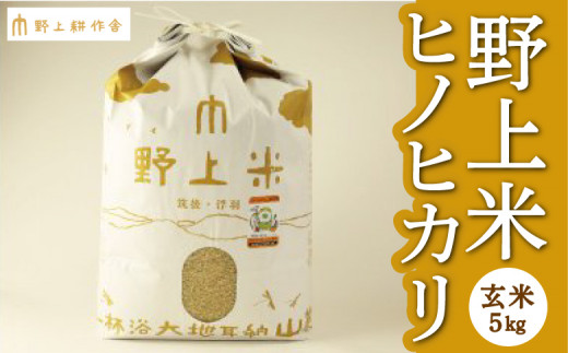 【指定日必須】野上耕作舎 野上米ヒノヒカリ 玄米5kg ひのひかり 玄米 米 お米 ご飯 国産 九州産 福岡県 うきは市