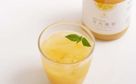 無添加 果汁100％ 河内晩柑ジュース 720ml×3本入 晩柑 柑橘 みかん 蜜柑 ミカン 飲料 ジュース 100％ 愛媛みかん 愛媛県産 【2025年12月上旬まで発送予定】【えひめの町（超）推し
