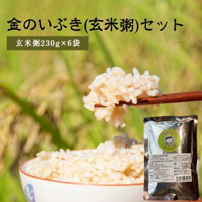 ふるさと納税 石巻市 金のいぶき(玄米粥)セット 230g × 6パック ヨシ腐葉土 宮城県 石巻市 げんまい 防災減災