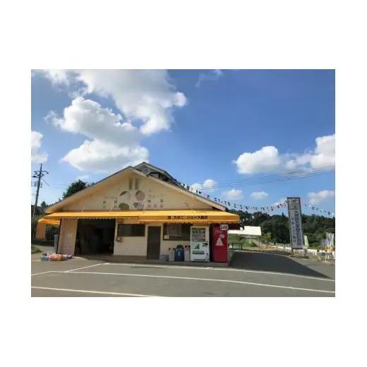 ピオーネ 約2kg 3～4房 岡山県新見市 大原観光果樹園 【先行予約 2026年9月上旬から順次発送】