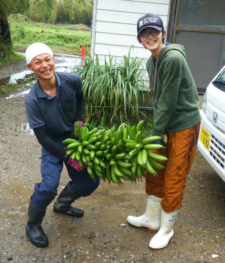 美浜町産ばななオーナー制度 ◆