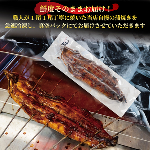 【6ヶ月定期便】 国産 うなぎの白焼・蒲焼セット 約180g×2尾 タレ付 うなぎうなぎうなぎうなぎうなぎうなぎ