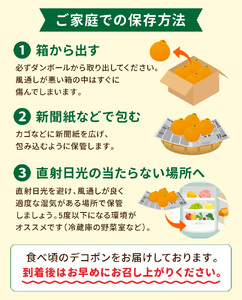 S053-002B_天草産 デコポン 3kg〈先行予約〉 / デコポン 柑橘 みかん フルーツ