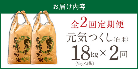 【定期便2回】【令和8年産 新米】福岡県産ブランド米元気つくし 白米 18kg×2回 _  元気つくし 18kg  お届け回数 2回 定期便 福岡県産 ブランド米 精米 新米 福岡生まれ 品種 香り豊