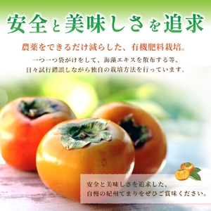 紀州てまり（和歌山県ブランド柿）6～7個入 こだわり農家厳選 先行予約 【2025年10月初旬頃から12月中旬頃順次発送】 / 柿 フルーツ 果物 かき 和歌山 かつらぎ 農家直送 贈答 【KG27】