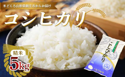 【令和7年産】 新庄産米 コシヒカリ 精米 5kg お米 コメ F3S-2771