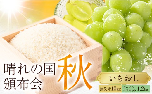 晴れの国頒布会 秋 いちおし 無洗米 10kg シャインマスカット 1.2kg《ページ内記載の時期に発送》岡山県 笠岡市 フルーツ 旬 果物 葡萄 ぶどう コメ お取り寄せ