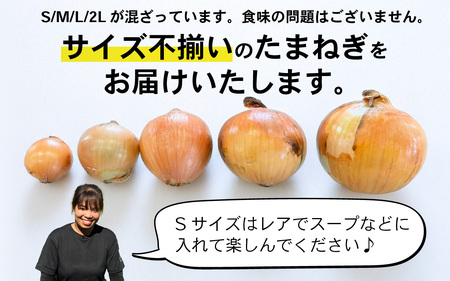 【先行予約】 淡路島 貯蔵玉ねぎ 3kg 訳あり サイズ不揃い 簡易箱でお届け / 玉ねぎ