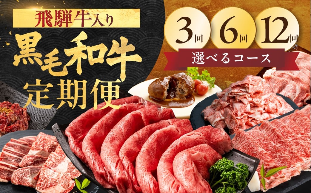 
            【飛騨牛入り】 黒毛和牛 お肉の定期便 選べるコース（全3回 / 全6回 / 全12回） 30000円～144000円 飛騨牛×飛米牛 定期便 ブランド牛 定期便 焼肉 / すき焼き / しゃぶしゃぶ / 切り落とし / ハンバーグ / 赤身 / もも / 肩 / ロース / カルビ 国産 食べ比べ セット 牛肉 肉 お肉 和牛 飛米牛 毎月 冷凍 飛騨市 3万円 7万円 14万円
          