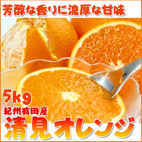 
とにかくジューシー清見オレンジ　5kg
