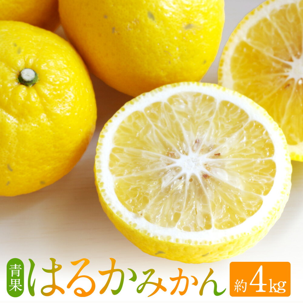 【ふるさと納税】はるかみかん 約4kg サイズ混合 無選果 ご自宅用 みかん 蜜柑 柑橘 フルーツ 果物 くだもの 青果 国産 九州 熊本県 送料無料【2026年2月下旬～4月下旬迄発送予定】