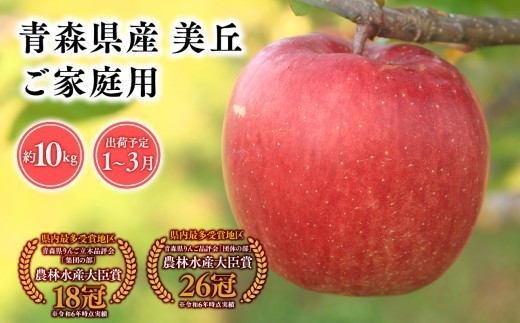 
                  2026年産  1～3月発送　【訳あり】家庭用美丘10kg【青森県 平川市 そと川りんご園】 1～3月発送 家庭用 りんご リンゴ 林檎 くだもの 果物 詰め合わせ 旬 フルーツ ３月 青森県産 青森 
                