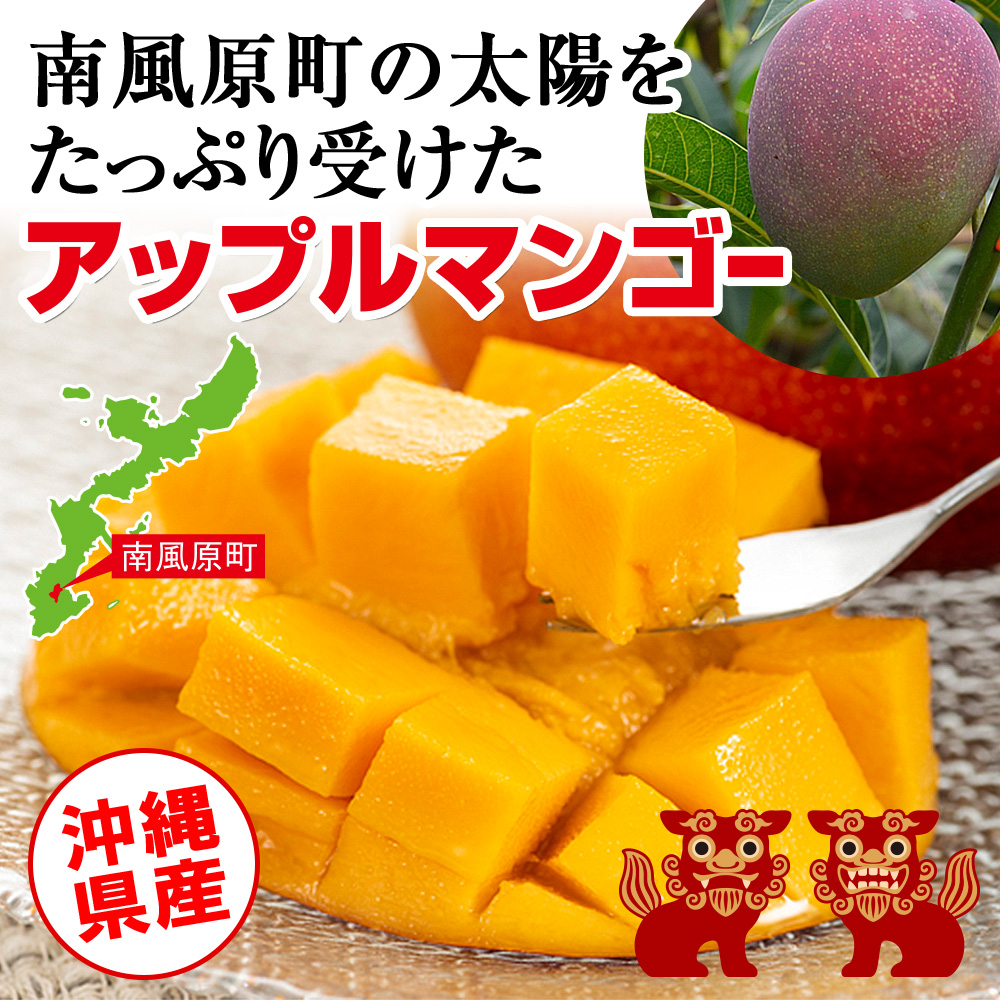 【2025年発送】芳醇な香り　とろける食感　沖縄県「優秀賞」マンゴー2kg_イメージ4