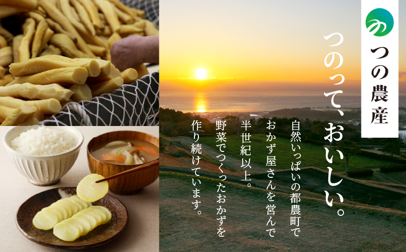 ＼ポスト投函／福神漬け100g おかず 漬物 野菜 加工品 国産_T037-011