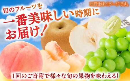 【全3回定期便】佐賀県の生産者を応援！桃とシャインマスカットと梨を楽しむ定期便 / 梨 シャインマスカット 桃 フルーツ / 佐賀県ふるさと納税[41AAZZ021]