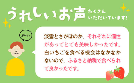 【先行予約】赤白 いちご 豪華 食べ比べセット【岸川農園】[IAP028]