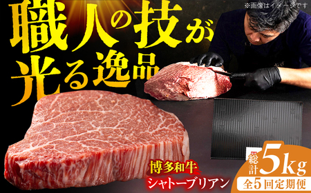 【5回定期便】博多和牛 ヒレ シャトーブリアン 200g×5枚 / ステーキ ステーキ ステーキ ステーキ ステーキ ステーキ ステーキ[AFBV031]