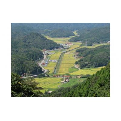 ふるさと納税 山口市 阿武川源流米コシヒカリ白米5キログラム D393 |  | 02