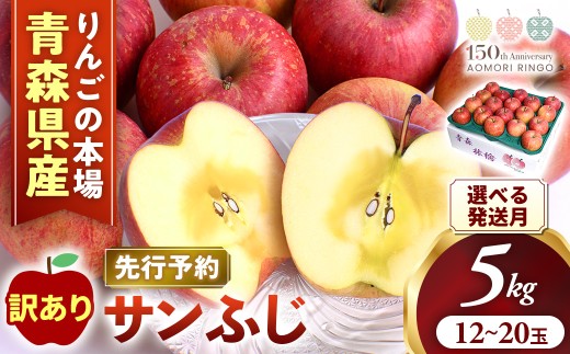 【訳あり】りんご【サンふじ】約5kg（12～20玉）【2026年産・先行予約】★2026年12月発送予定★ アップル 林檎 フルーツ 果物 果実 産地直送 農家直送 送料無料 青森県 三戸町 R0618 AK-24-051