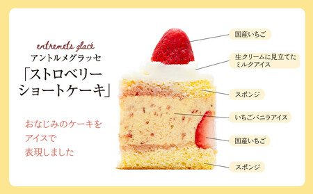 【ベルグの4月】アントルメグラッセ　ストロベリーショートケーキ ANW0003