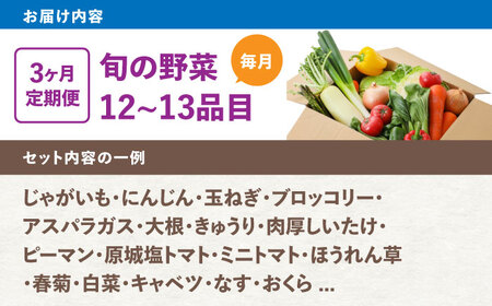 【3回定期便】野菜のプロが選ぶ 旬の野菜セット 12～13品目 野菜定期便 / 野菜 やさい セット 新鮮 / 南島原市 / 愛2農園[SGG004]