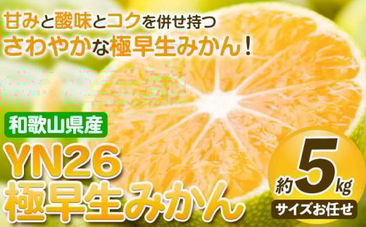 【産直】YN26 極早生みかん 約5kg（2S～Mサイズおまかせ）厳選館《2026年9月中旬-11月中旬頃出荷》和歌山県 日高川町 フルーツ 果物 極早生