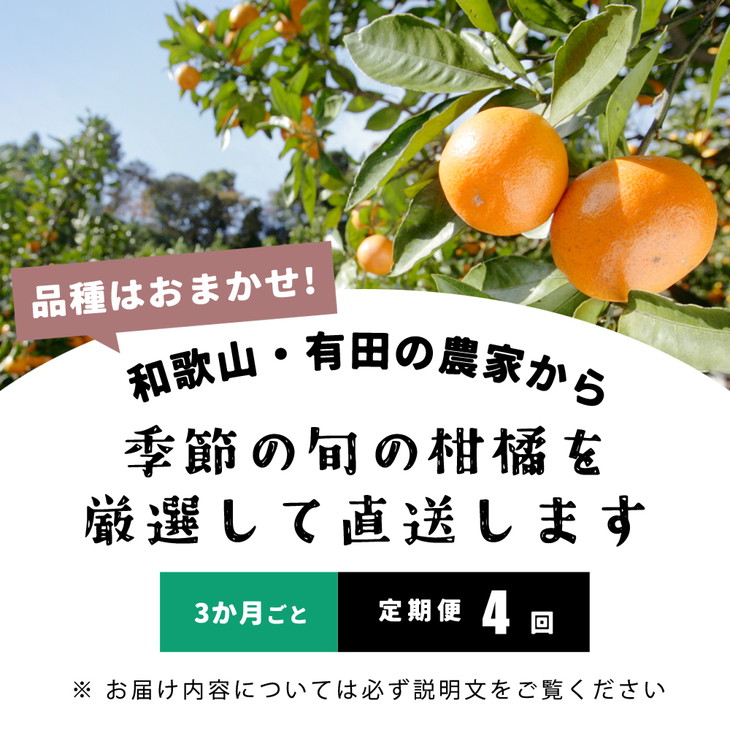 【定期便/3か月ごと/全4回】厳選・和歌山の季節の柑橘3kg農家直送フルーツ定期便 ※北海道・沖縄・離島への配送不可