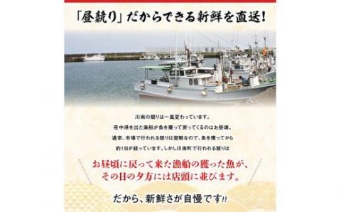 【担当者厳選！】伊勢海老2kg（2～8尾） 【 伊勢えび 魚介類 いせえび 海産物 宮崎県産 国産 】[B04403]