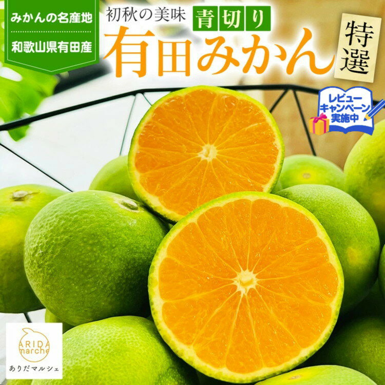 【ふるさと納税】【先行予約】【選べる内容量】特選！濃厚青切り有田みかん ※北海道・沖縄・離島への配送不可 ※2025年9月中旬～10月中旬頃に順次発送予定